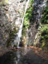 Creek in Big Sur Park.JPG (275933 bytes)