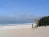 Fog off a beach in Carmel.JPG (52225 bytes)
