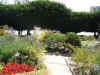 Garden in Monterey.JPG (248117 bytes)