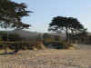 Monterey Beach.JPG (170808 bytes)